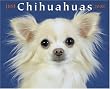 Just Chihuahuas 2008 Calendar