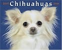 Just Chihuahuas 2008 Calendar