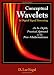 Conceptual Wavelets in Digital Signal Processing