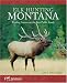 Elk Hunting Montana: Finding Success on the Best Public Lands