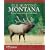 Elk Hunting Montana: Finding Success on the Best Public Lands