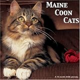 Maine Coon Cats 2008 Wall Calendar
