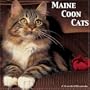 Maine Coon Cats 2008 Wall Calendar