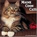 maine coon - Maine Coon Cats 2008 Wall Calendar