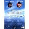 Voyage en antarctique