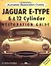 Jaguar E-Type: 6 & 12 Cylinder Restoration Guide (Authenic Restoration Guide)