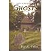 New York State Ghosts, Volume Two
