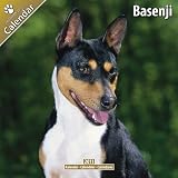 Basenji 2011 Wall Calendar #10010-11