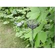 Verdigris Birds Nest Bird Themed Wired Candle Holder and Garden Stake