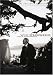Wild Strawberries - Criterion Collection