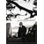 Wild Strawberries - Criterion Collection