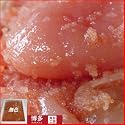 ★限定番外品明太子★《特選/無着色並切れ子》１㌔どっさり（500ｇ&times;2）[067-220]切1000A