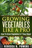 Growing Vegetables Like A Pro - How To Grow Vegetables In 7 Easy Steps!