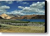 Evening Colors at Pangong Lake Canvas Print / Canvas Art - Artist Rohit Chawla