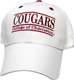 College of Charleston Cougars 