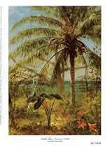 Palm Tree, Nassau 1892 Art Poster Print by Albert Bierstadt, 6x8