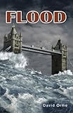 Flood
