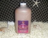2008 Brown Sugar Sweet 16 - Tan Incorporated Tanning Lotion - 64 oz.