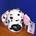 Artlist Collection: The Dalmation 12