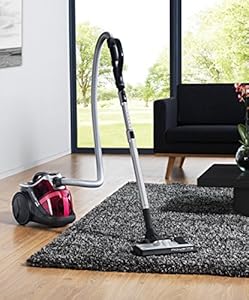 Best deals of  Rowenta Ergo Force