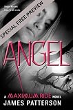 Angel – Free Preview: First 23 Chapters: A Maximum Ride Novel