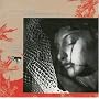 Film Works, Vol. 10: In the Mirror of Maya Deren