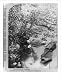 Historic Print (L): The Johnstown Calamity [Johnstown, Pa. Flood, 1889]: Somebody's d...