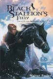 The Black Stallions Filly