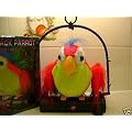 The Talking Parrot - Repeats What You Say