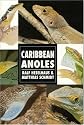 Caribbean Anoles (Herpetology series)
