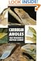 Caribbean Anoles (Herpetology Series)