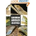 Caribbean Anoles (Herpetology series) by Ralf Heselhaus and Matthias Schmidt
