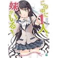 この中に１人、妹がいる！<br>田口 一著 <br>メディアファクトリー<br>609円<br>ISBN:9784840134880