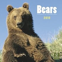 Bears 2010 Square Wall (Multilingual Edition)