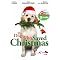 GREAT CHRISTMAS MOVIES FOR KIDS