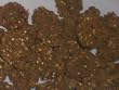 Parrot Treats - Bigger Birdie Bites - The Healthy Treat for Your Parrot - 100 Count