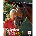 Ratgeber Pferdekauf