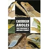 caribbean anoles herpetology series
