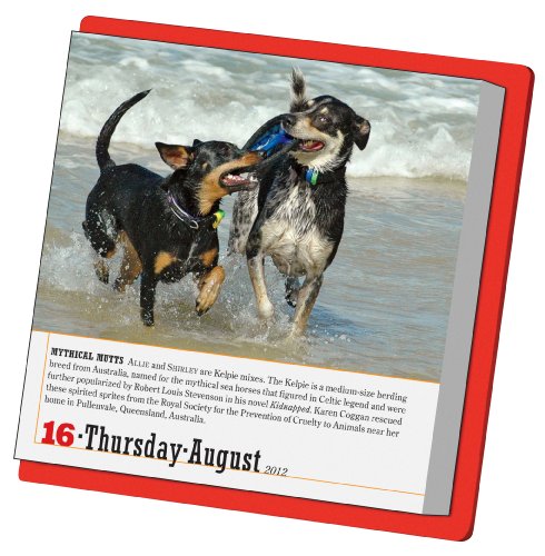 365 Dogs Page-a-Day 2012 Calendar (Page a Day Calendar) [Calendar]