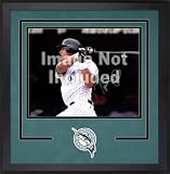 Florida Marlins Deluxe 16x20 Horizontal Photograph Frame