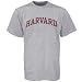 Harvard Crimson Ash Arch Logo T-shirt