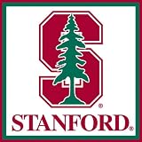 Stanford Cardinal Paper Cube