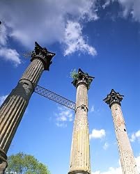 Columns at Ruins of Mississippi's Windsor Plantation Photograph - Beautiful 16"x20" Photographic Print by Carol M. Highsmith