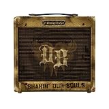 Shakin\' Our Souls