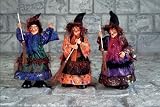 Large Halloween Party Props | Sonic Witch with Sound