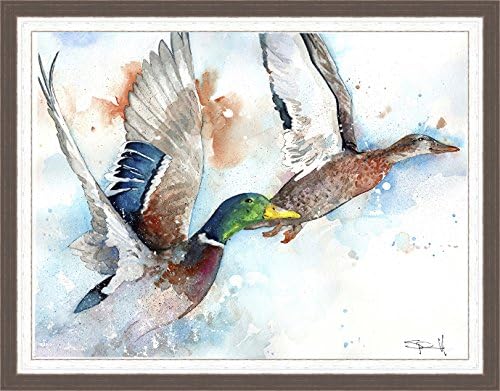 Watermark Collection Fly Framed  Print