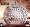 Anthems Hip Hop II