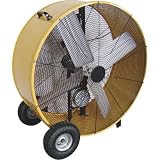 ProTemp Portable Air Circulator Fan - 36in., 1/3 HP, 7300-10,200 CFM, Model# PT-36-BDFSBG
