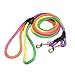 Coolrunner Pet Dog Whisperer Cesar Slip Training Leash Lead Collar (Rainbow)