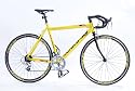 Viking 2010 Giro D'Italia Gents 14 Speed Road bike, 56cm Frame